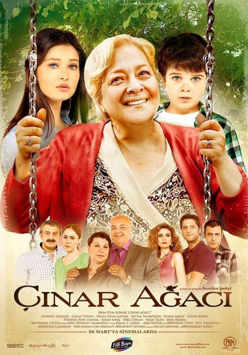 Çinar Agaci