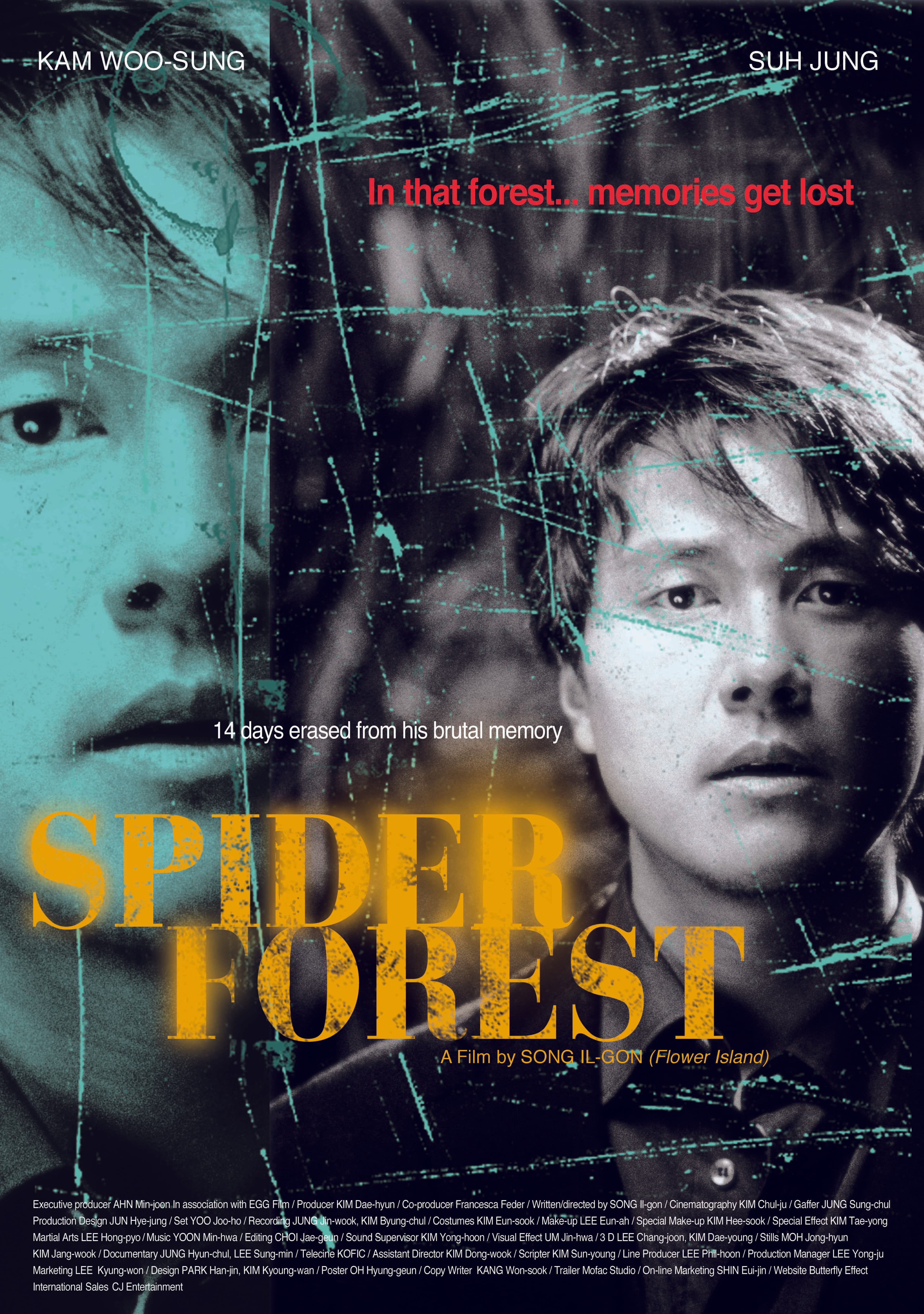 Spider Forest